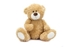 Teddy bear 