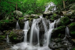 Dark Hollow Falls in Shenandoah National Park, Virginia