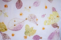 Background from the fabric of the leaf print. Eco Prince. Handmade. The only piece in the world. Fragment of hand-dyed fabric using eco-print technique