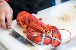 lobster in cooking
