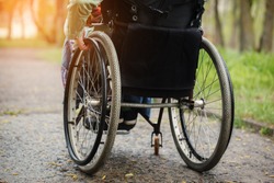 Back view of young woman in  wheelchair during walk in park  in sunny day