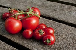 red shiny tomatoes