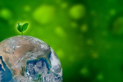 Planting tree, world in grass of green bokeh background. Day earth green planet concept.