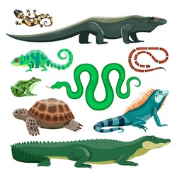 Reptiles and amphibians. Lizard, crocodile, turtle, snake, iguana, salamander, frog, chameleon. Terrarium pet reptile, pond animals vector set. Tropical or wildlife natural fauna characters