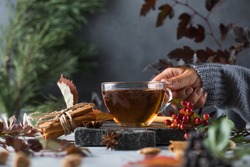 A woman holds a mug of delicious freshly brewed tea in her hand. The concept of autumn time