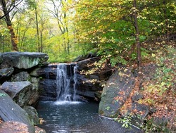 There are five waterfalls in Central Park, and all are completely man-made. This one is situated in the Ravine, the stream valley section of Central Park's North Woods.