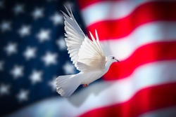American flag with dove of peace 2020