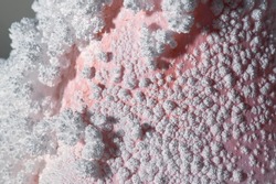 texture of white mold on pink stone surface