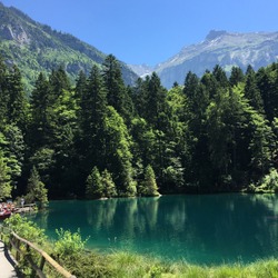 Lake Flims and forest Switzerland
