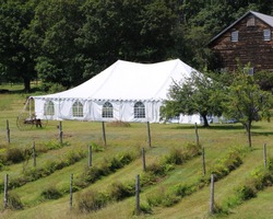 large white events tent in a rural setting