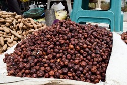 Indian dried jujube jungli Ber sold in Vegetable market. Bora or Ber wild jungle fruit selling by villagers big heap wholesale market in a Village road side highway market in Maharastra India