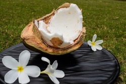 Tropical theme Concept. Half broken tender coconut. Fresh green coconut fruit organic edible. tender pulp of coconuts tropical theme. Pulp of tender coconut