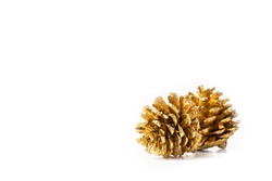 Golden pine cone isolated on white background for Christmas decorative.
