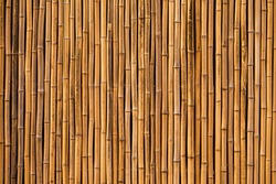 bamboo texture background for interior or exterior design. 