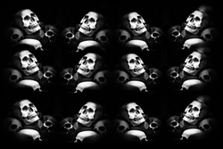 skull on black background, abstract background to Halloween concept.