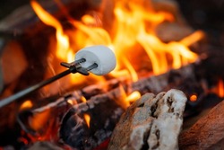 Roasting Marshmallow on bonfire. When camping in he forest, traveler use firewood to make the campfire. Grill barbeque food and get warm outside