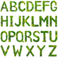 Stabilized Lichen or moss font. Capital letters made from green moss or grass. 