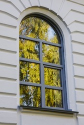 The glass of the window reflects the leaves of the tree. Part of the 19th century building, painted with light paint. Urban background with a beautiful shape in architecture. Vertical photo.