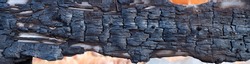 The charred texture of burnt wood, burnt wood texture. Panoramic view. Long banner