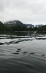 pictures of critter cove Nootka sound brattish Columbia
