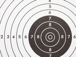 Target for shooting. Black and white light background or wallpaper. Backdrop on the subject of shooting sports. Fragment of training target