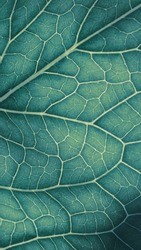 Plant leaf close-up. Mosaic pattern of  cells and veins. Blue-green tinted mobile phone wallpaper. Abstract vertical background on vegetable theme. Beautiful nature structure. Horseradish leaf. Macro