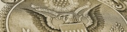 1 US dollar. Fragment of banknote. Reverse of bill with the Great Seal. The bald eagle is the national symbol. Olive tinted banner or header. American treasury and treasuries. Economy of the USA