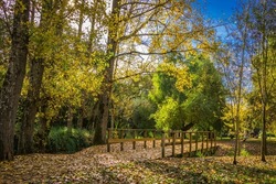 Wonderful autumn landscape. Beautiful romantic city park with autumn leaves on the ground. City park of Bonito, located in Entroncamento - Portugal 