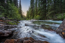 Wild mountain fly fishing river flowing through a dense, green, pine forest at sunset in eastern Oregon. Lostine River.