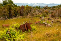 Old barrels rusting over decades in the grass of Waiuta ghost town, South Island of New Zealand