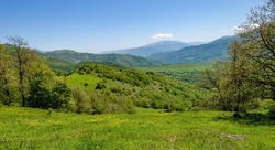Peaceful view in the mountains in summer. Field with flowers, green hills, mountains in the distance, blue sky.
