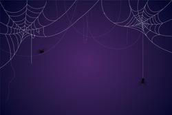 Spider and cobweb background. The scary of the halloween symbol Isolated on blue and purple vector illustration.