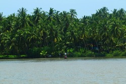 Backwaters and local transport of Kerala