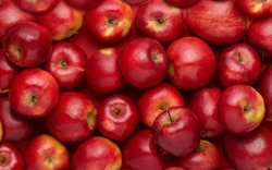 Red apples in large quantities