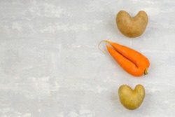 Food waste. Ugly vegetables: heart-shaped potatoes and carrots on a gray concrete background. Funny vegetables concept. Top view. copy space