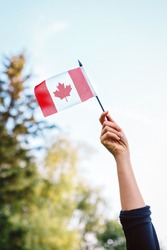 Closeup of white Caucasian woman hand arm waving red white Canadian flag with maple leaf on blue sky and green forest. Citizen celebrating national holiday on 1st of July. 