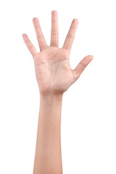 Woman hand showing the five fingers isolated on a white background