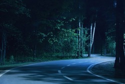 Night asphalt footpath in park lighted by street lamp. Nighttime with curvy roadway in forest at national park. Night road in forest. Scenic night landscape of road through the park.