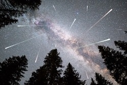 A view of a Meteor Shower and the Milky Way with a pine trees forest silhouette in the foreground. Night sky nature summer landscape. Perseid Meteor Shower observation.