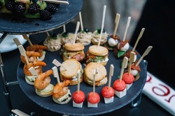 Appetizers on plates. Catering service. Wedding welcome food.
Fruits on skewers (blueberries, kiwi, pineapple) and canapes (shrimp, mozzarella, sun-dried tomatoes). Welcome buffet at the event.