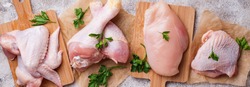 Raw chicken meat fillet, thigh, wings and legs. Top view, banner for site design 
