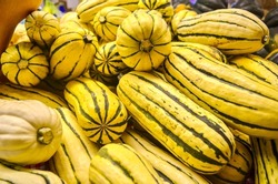 A unusual view of the sweet and creamy Delicate squash. This winter squash is a cultivar of Cucurbita pepo, and is also known as peanut squash and Bohemian squash. Close-up.