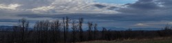 Beautiful Mountain Panorama near Lake Champlain Vermont USA 