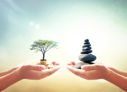 World environment day concept: Two human hands holding stacks of golden money with big tree and Zen stones on blurred nature background