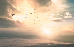 Background of heaven concept: Birds flying with mountain and sepia sky sunrise. Nok Ann cliff, Phu Kradueng National Park, Loei, Thailand, Asia