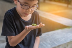 image of cute young Asian boy holding a green worm caterpillar .