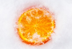 A slice of fresh frozen orange tangerine mandarin fruit cowered with white cold winter snow.