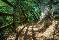 A walking trail with a wooden fence. Saint James Way Walking Route, North El Camino de Santiago