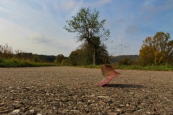Single leaf being blown away by the wind on a road with wind turbines in the background, leaf is blurred and defocused by the motion, focus on the foreground