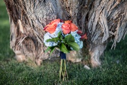 wedding bouquet with rust roses leaning on large oak tree and green grass